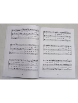 № 004 Глас 1. Песнопения воскресной службы