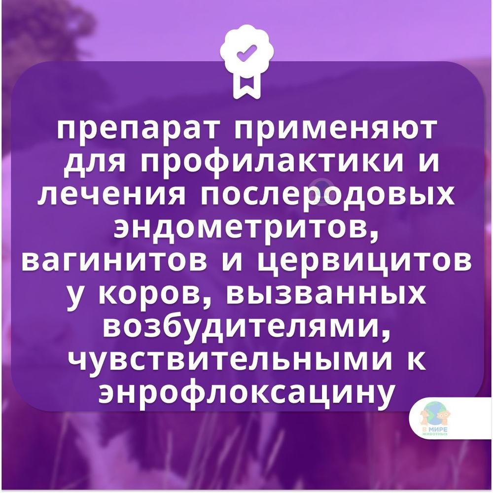 БелТунифарм Энровит, пенообразующие таблетки, 4 таблетки в упаковке. Энрофлоксацин.