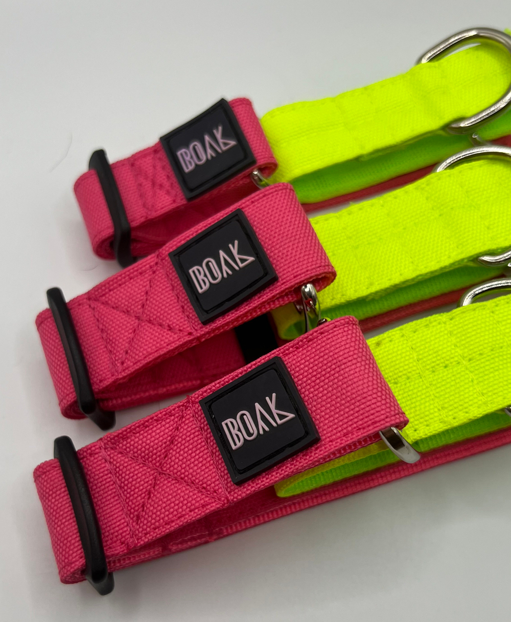 Ошейник Волк 2.0