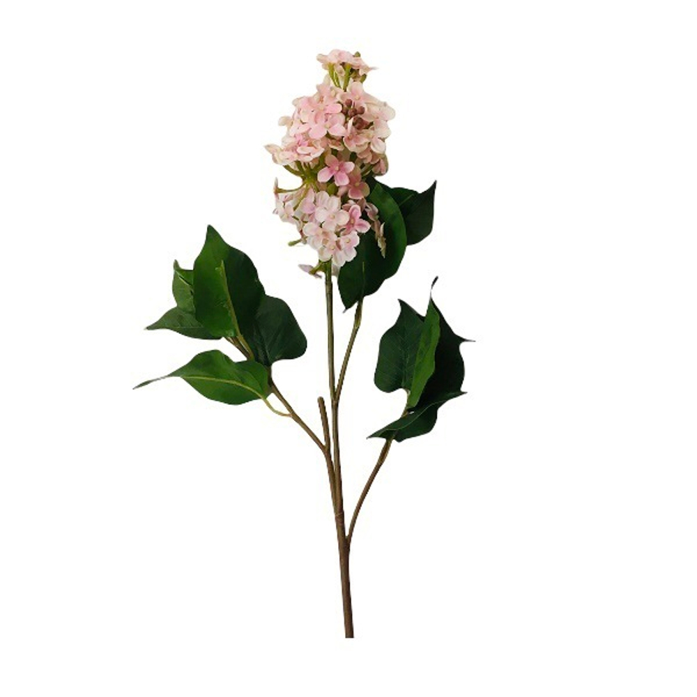 Сирень садовая розовая [Арт. 139835]