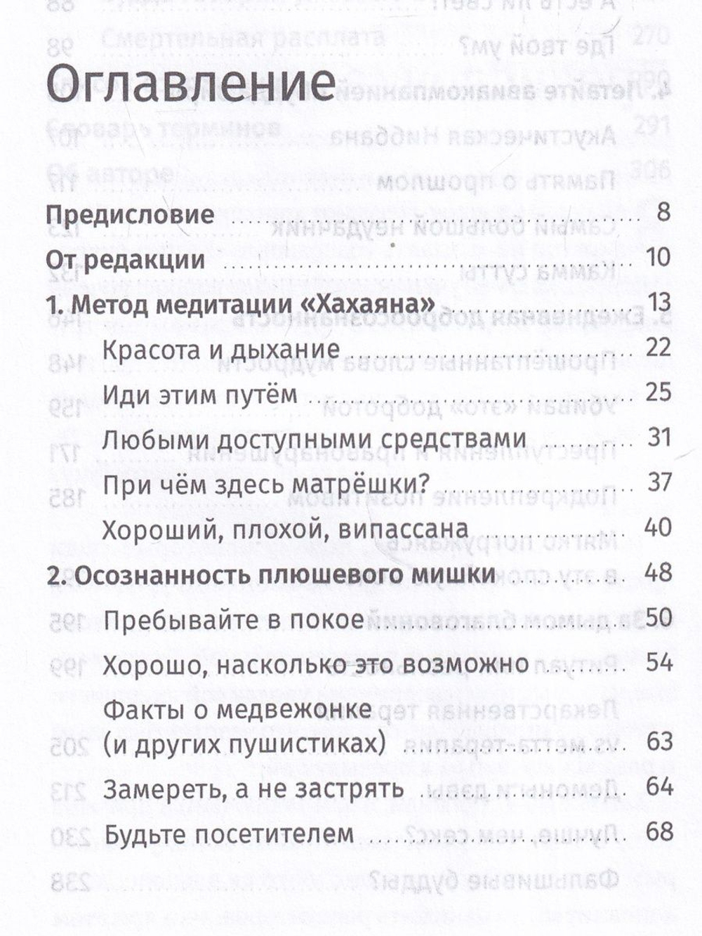 Осознанность и плюшевый мишка. Вопросы и ответы по укрощению твоего дикого ума