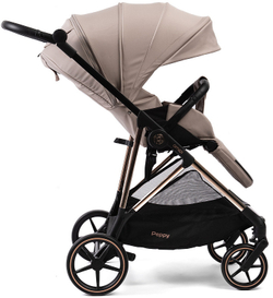 Прогулочная коляска Peppy Amici с автокреслом Verona Beige Beige рама Gold