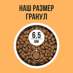 Bowl wow корм сухой для взрослых кошек с чувствительным пищеварением: индейка, курица, тыква