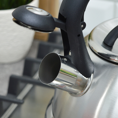 Чайник 3л нерж со свистком