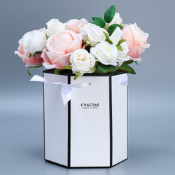 Переноска складная шестигранник «Счастье», 17*14,8*19,5 см