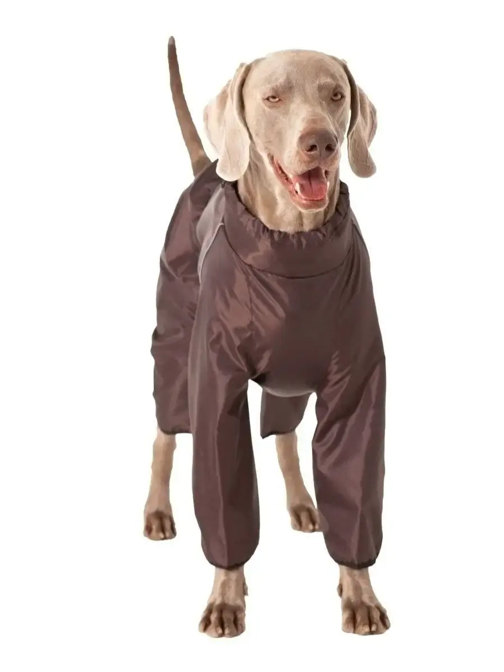 Комбинезон дождевик для собак средних и крупных пород