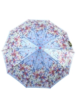 Зонт