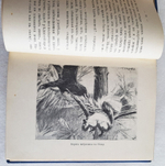 "Дети вод и лесов". Чарльз Робертс. 1915г. - антикварное издание