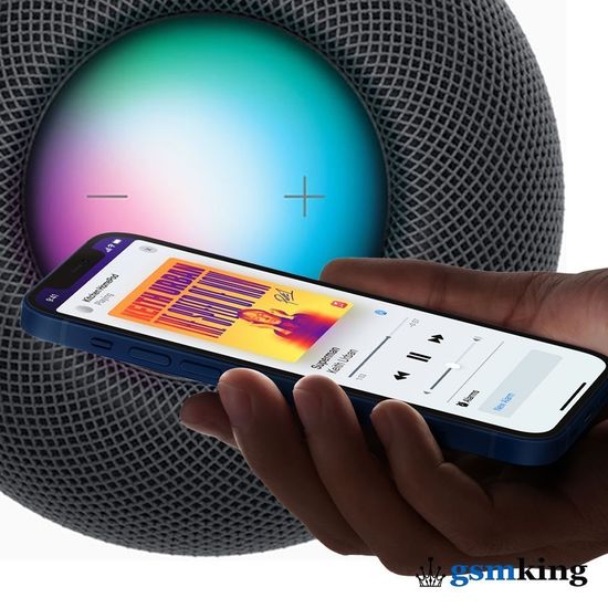 Apple HomePod Mini Space Gray (Серый) MY5G2RU/A