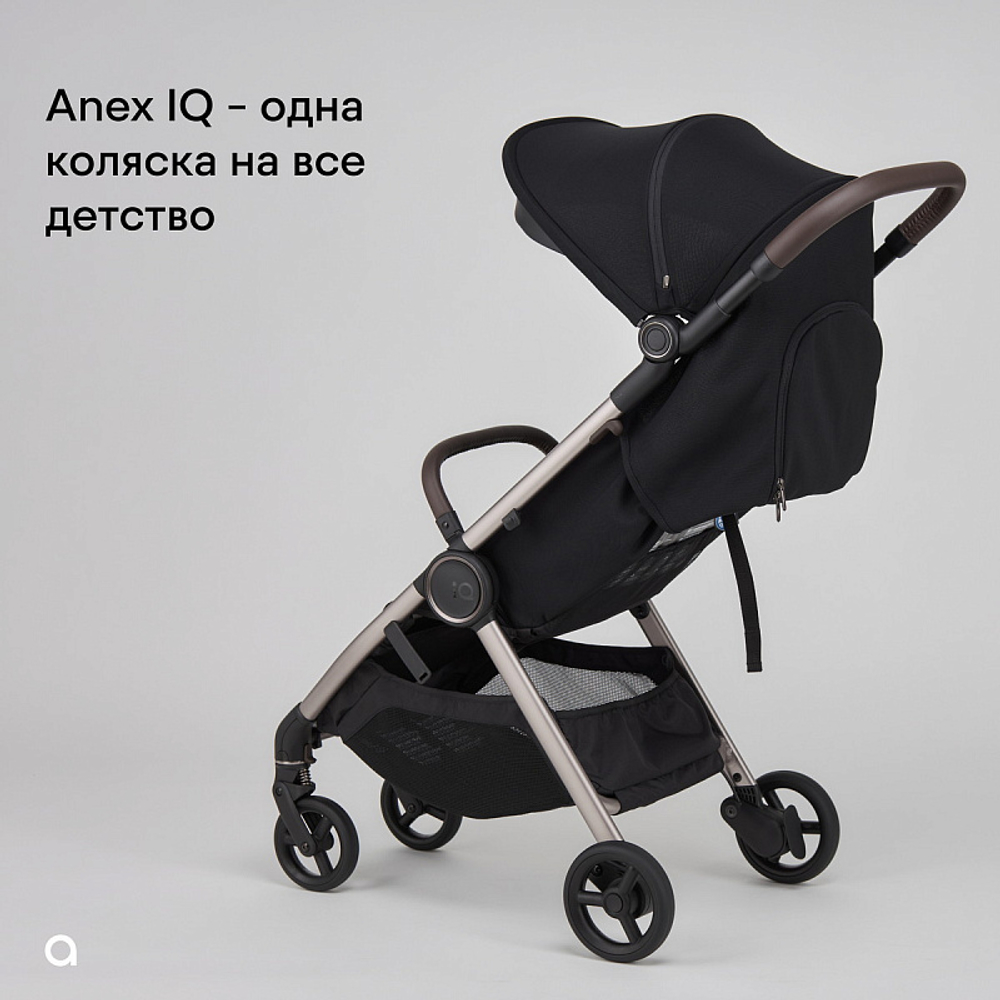 Детская коляска Anex iQ Basic NT 2 в 1 Sienna