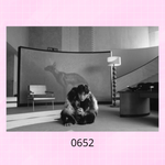 Мини-постеры #641 - #661 / STRAY KIDS IT TAPE "DO IT"