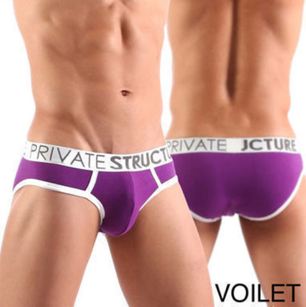 Мужские трусы слипы Private Structure Spectrum Low Rise Brief Violet PST0016