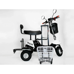 Электротрицикл EL-Sport SF8 Maxi 500W