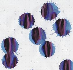 Чернила пигментные Sailor для перьевых ручек Sei-Boku темно-синие 50 мл (13-2002-242) 2