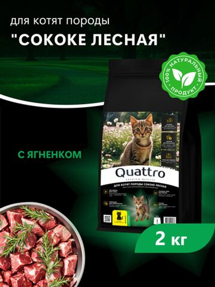 Корм сухой для котят породы Сококе лесная, с ягненком, 2кг, QUATTRO