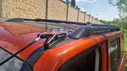 Веткорезы TENGQIAN Tank 300