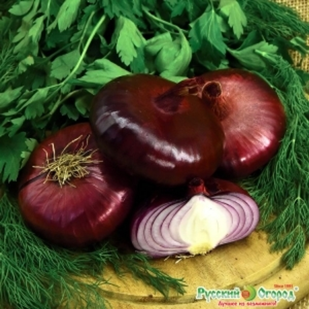 Лук Ялтинский плюс (НК) 0,2г