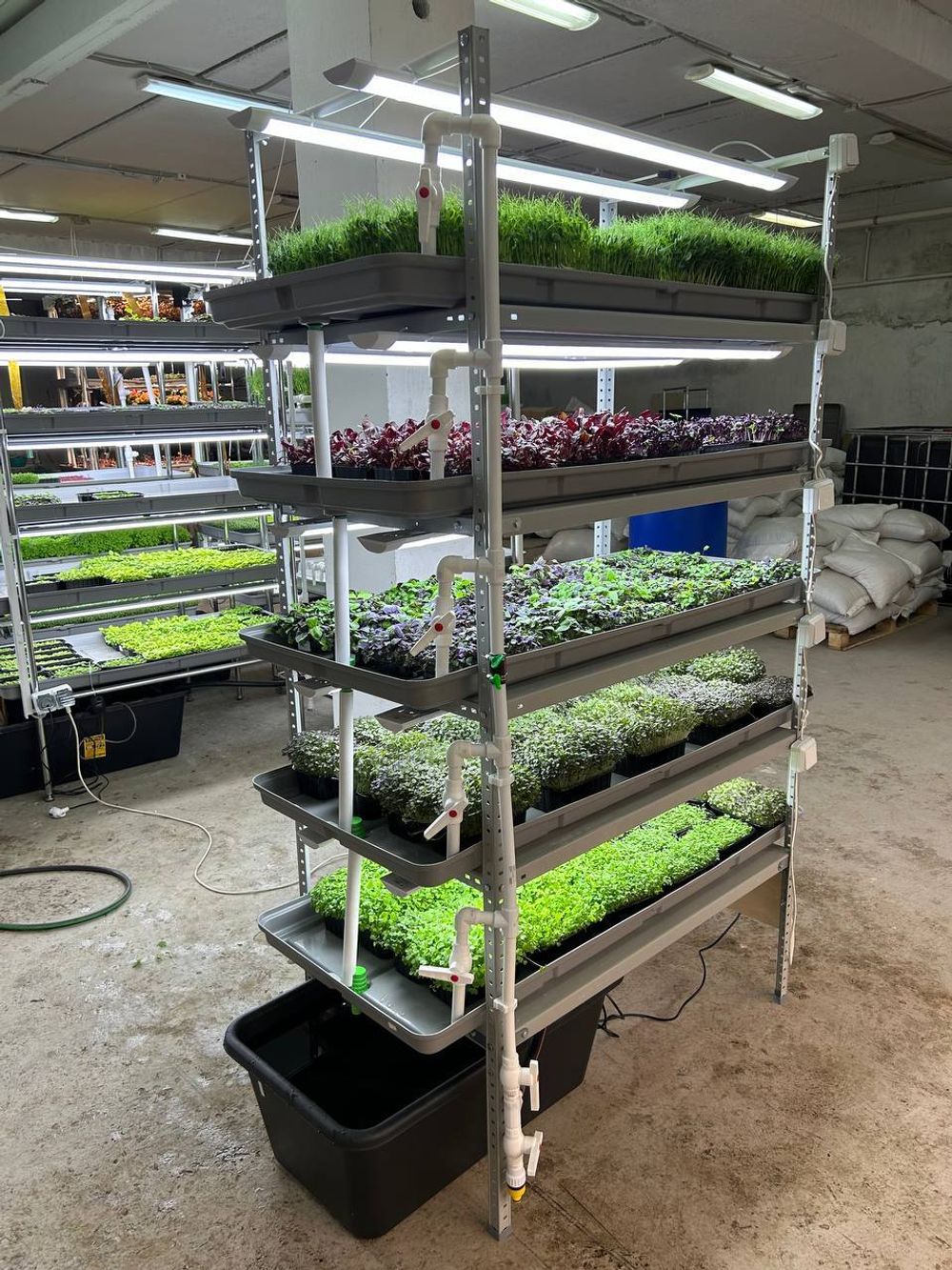 Гидропонная установка "Настенька"