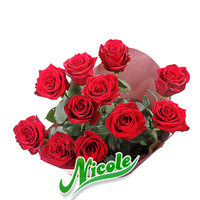 Букет из красных роз Nicole