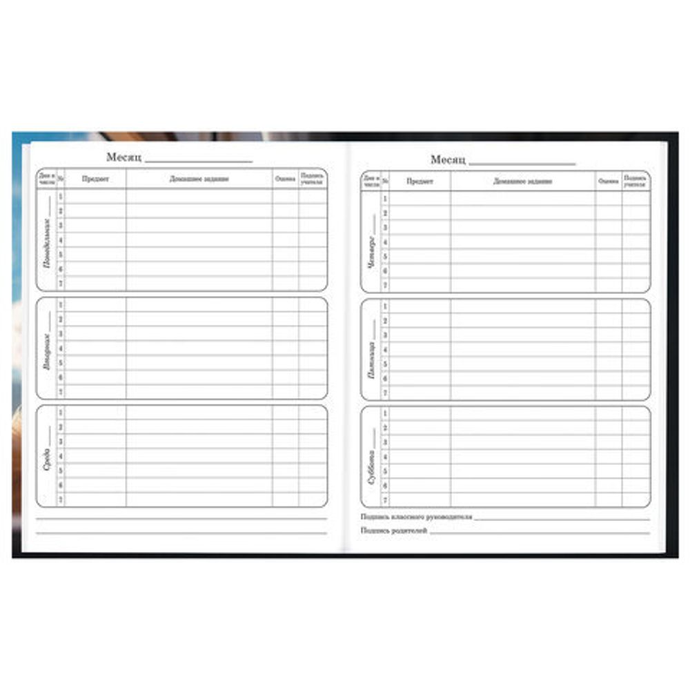 Дневник 1-4 класс 48 л., твердый, BRAUBERG, глянцевая ламинация, с подсказом, "Котик", 107156