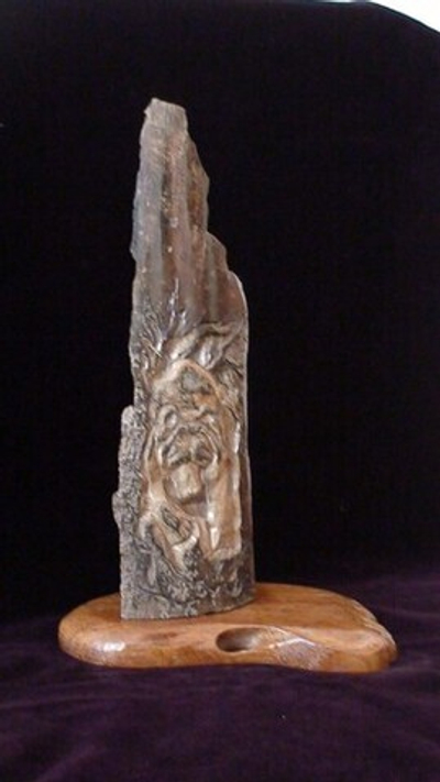 "Из чащи", экран