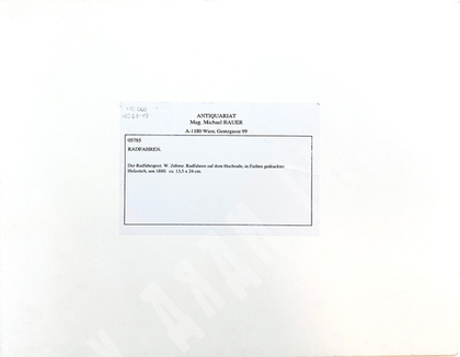 Цеме Вернер. Велоспорт на пенни-фартингах. Германская империя. Бумага, цветная печать. 1880 г.