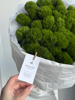 Моно букет из диантусов сорта Грин трик 35 шт