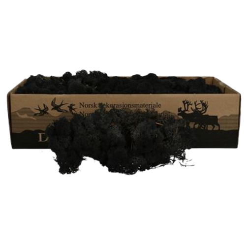 Мох ягель "Decoration" чёрный