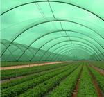 Сетка затеняющая УФ 4х6м  55% затенения