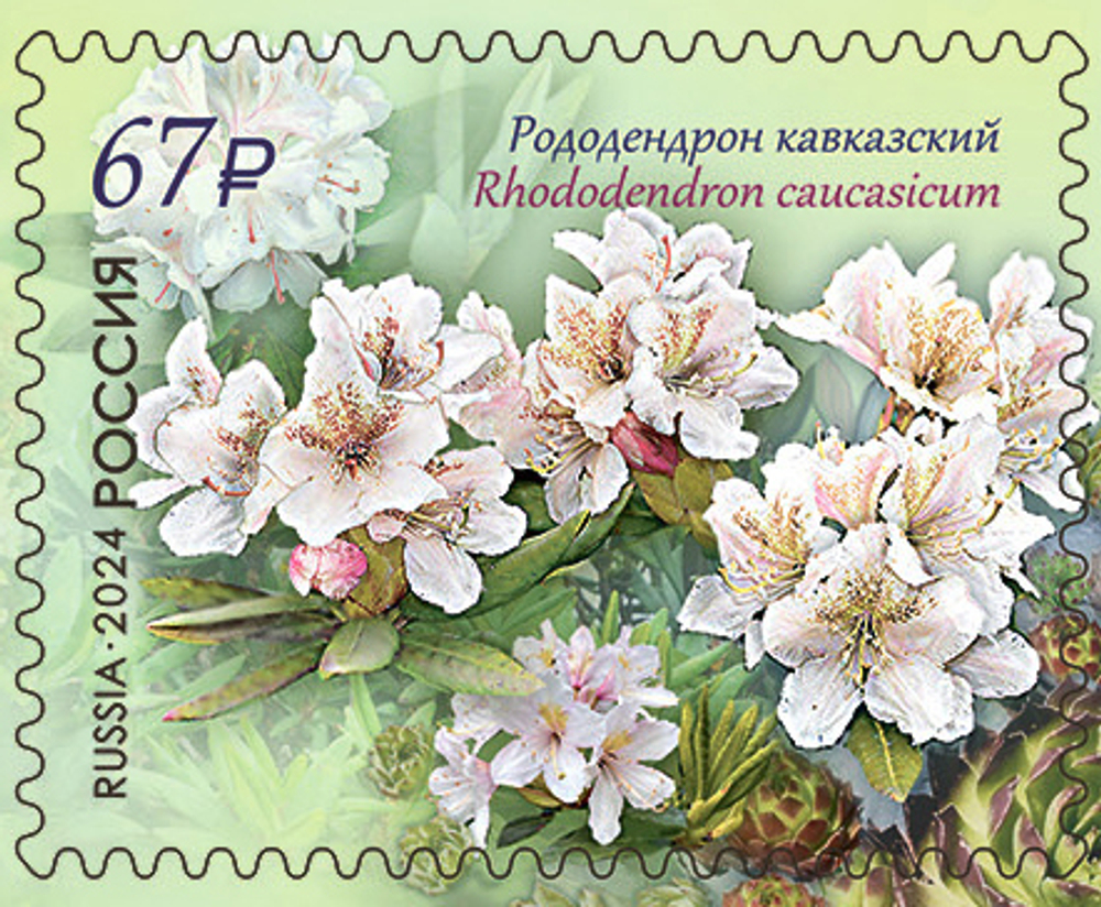 Марка номиналом 67 рублей. Серия «Флора России. К 100-летию Кавказского государственного заповедника»
