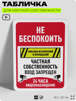 Табличка для частной территории "Не беспокоить, частная собственность", на дом, для участка, организаций, предупреждающая, 40х30 см, Silver Plane x Айдентика Технолоджи