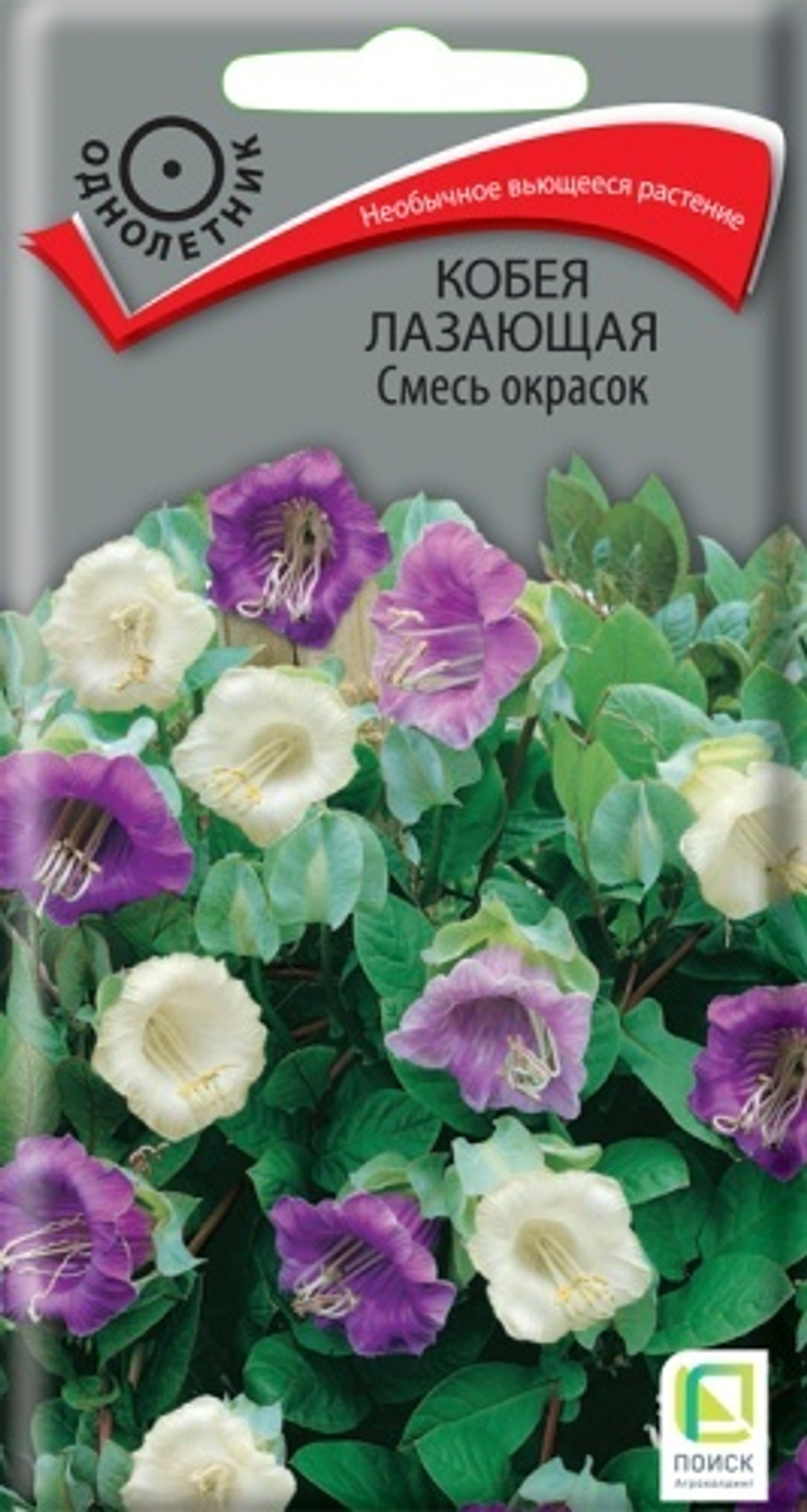 Кобея Смесь окрасок 5шт Ц Поиск