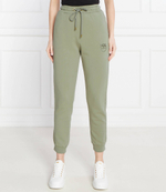 Спортивные штаны Pinko - фисташковый(100371 A1N7)