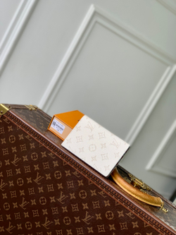 Louis Vuitton Passport Cover