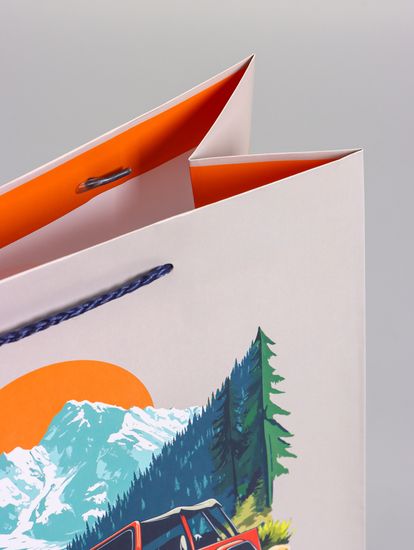 Пакет подарочный ламинированный «Путь сильных», 26×12×32 см