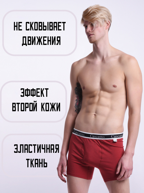 Трусы мужские боксеры средней длины (3 штуки в упаковке)