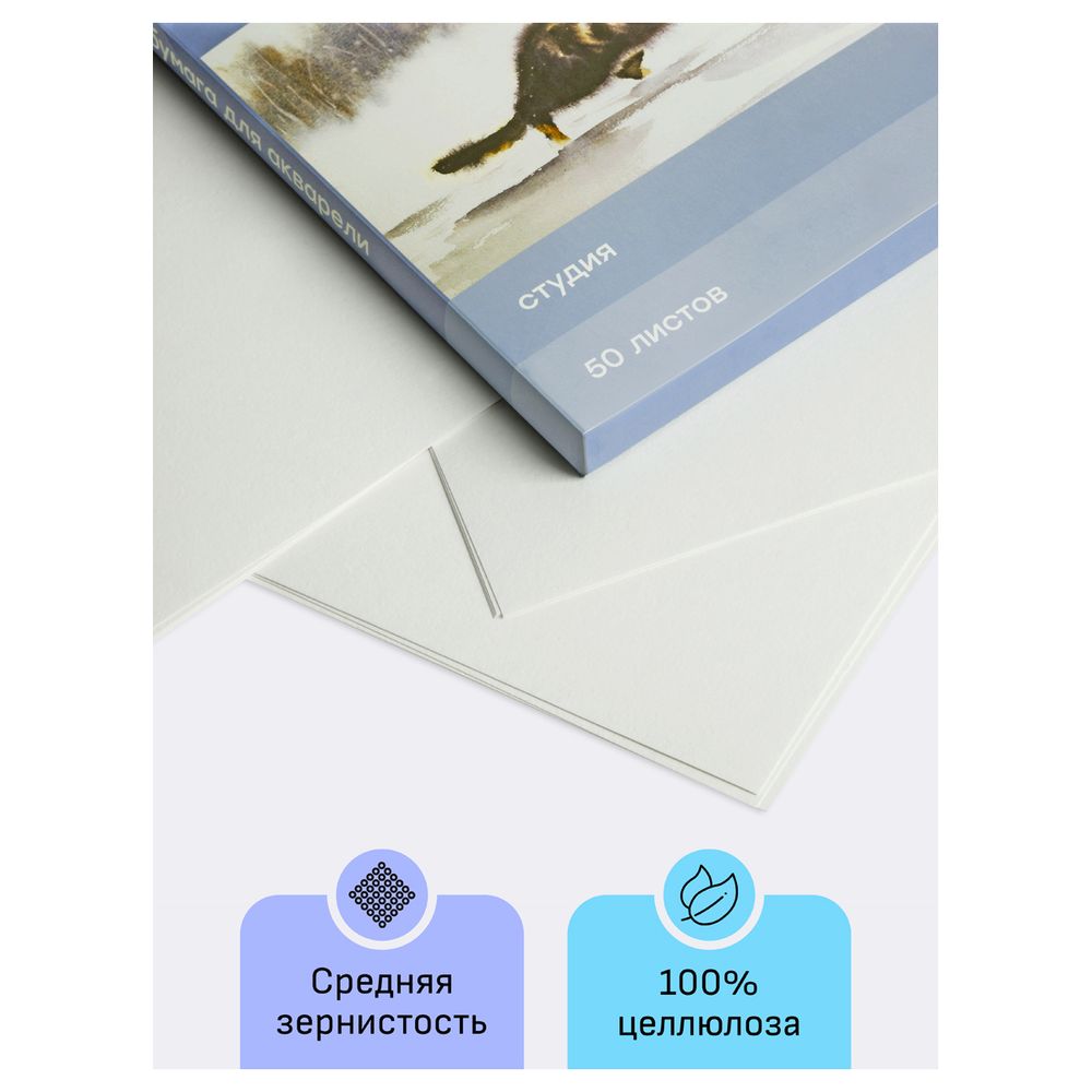 Папка для акварели А3, 50л, 200гр/м, Гамма Студия, среднее зерно