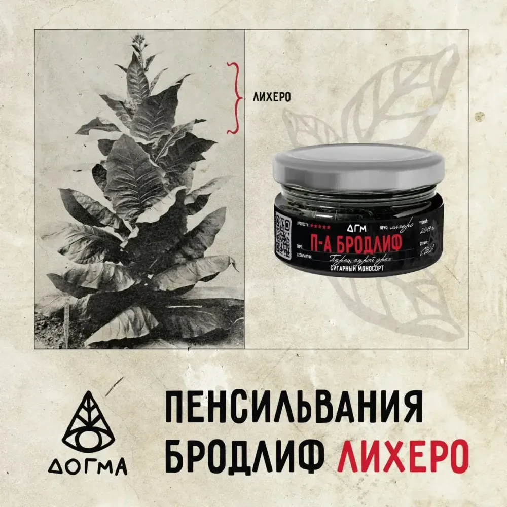 Dogma Cigar Monosort - Pennsylvania Broadleaf Lijero (80g)