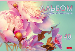 nkw5xwt56ogwgmyn052eoe4padiyro6c