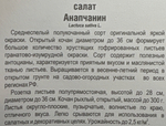Салат Анапчанин 0,5 г СМЗ-157