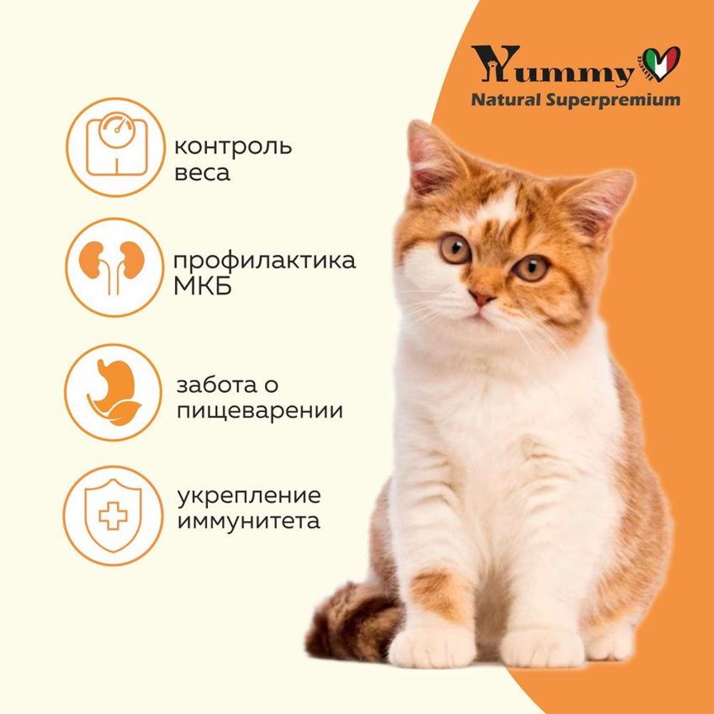 Yummy Linea корм для взрослых стерилизованных кошек, индейка, 400 гр