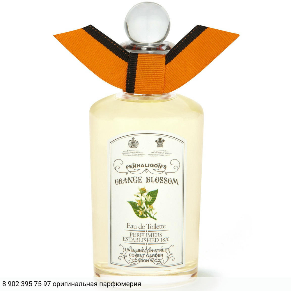 Orange Blossom