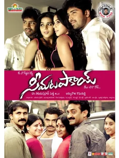 Жара (2011) (DVD-R)