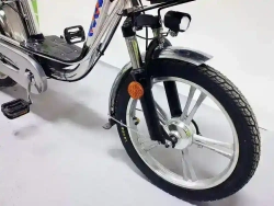 Электровелосипед Green Camel Транк-18 V2 (R18 250W)