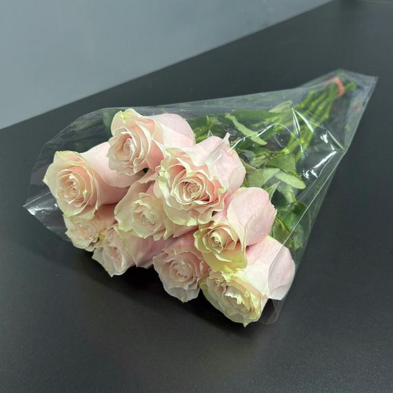 розы Pink Mondial