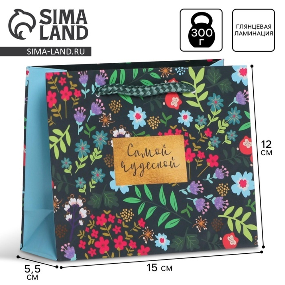 Пакет подарочный ламинированный, упаковка, «Present for you», S 15 х 12 х 5,5 см