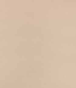 Рулонные шторы Декор Пудра