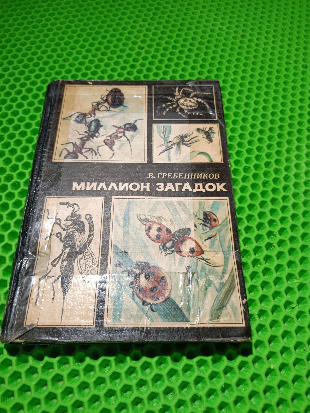 Миллион загадок