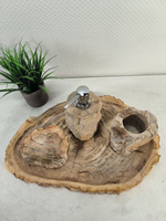 Набор из окаменелого дерева 4 предм Fossil Set NF-63062 поднос 29см*43см