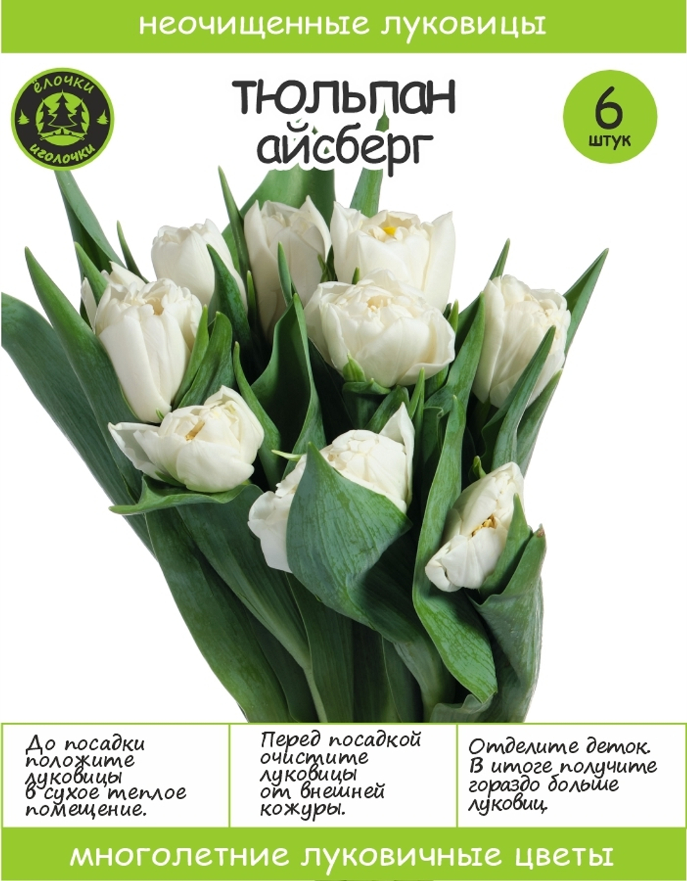 Тюльпан Луковица, Айсберг, 6+шт